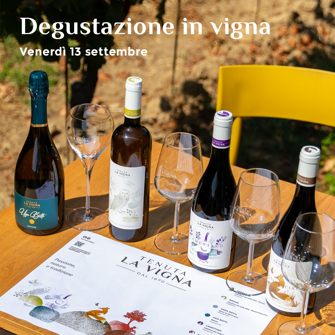 Degustazione in vigna